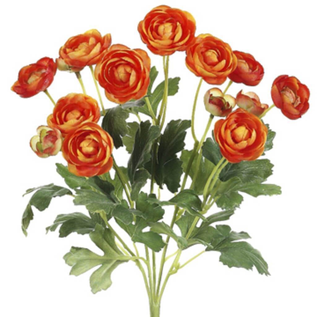 13&quot;Mini Ranunculus Bu.X5 Or 