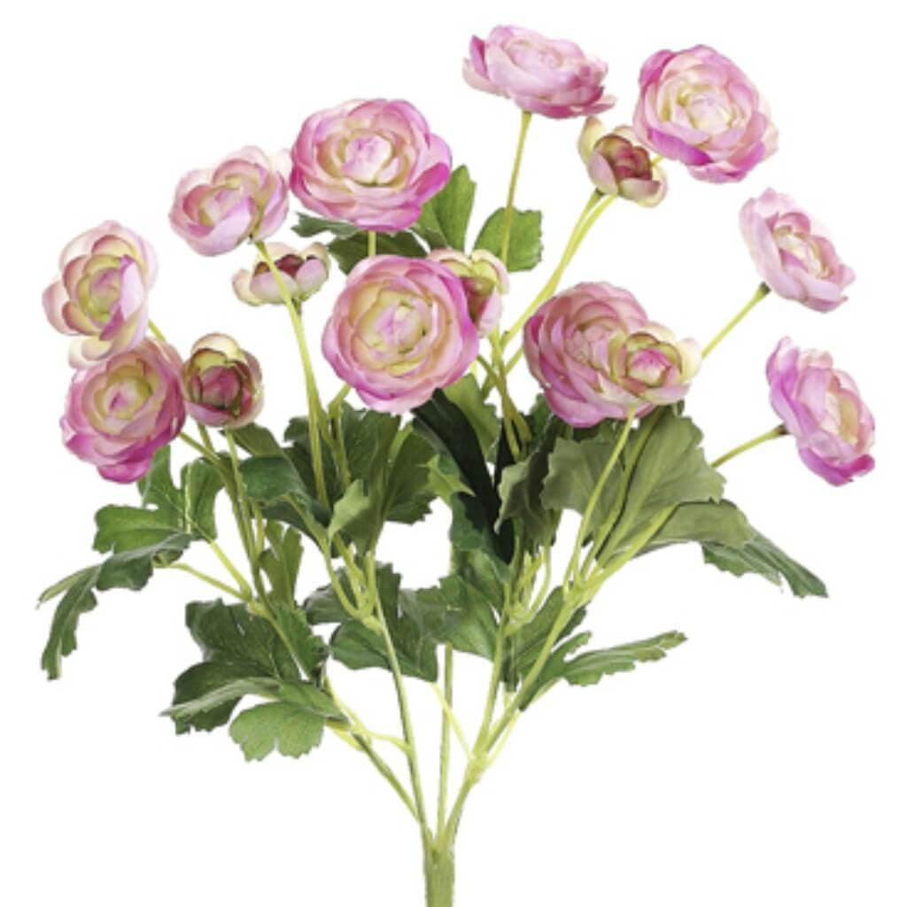 13"Mini Ranunculus Bu.X5 Pk 