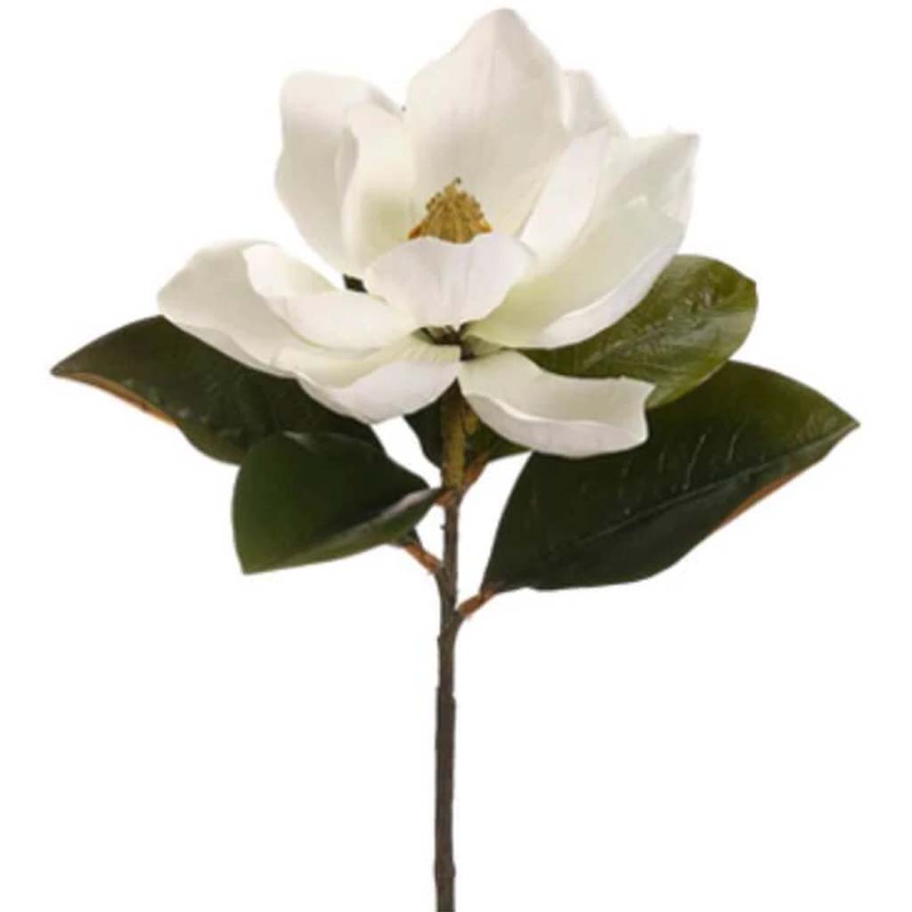 14"Magnolia Pick Cr 