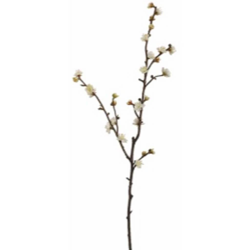 27&quot;Plum Blossom Spray X2 Cr 