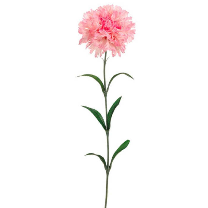 25"Carnation Spray Pk 