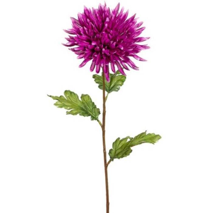 25"Spider Dahlia Spray Oc 