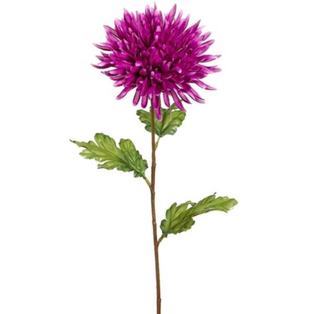 25"Spider Dahlia Spray Oc 
