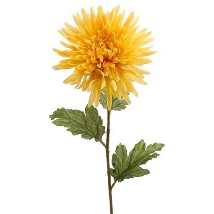 25"Spider Dahlia Spray Ye 