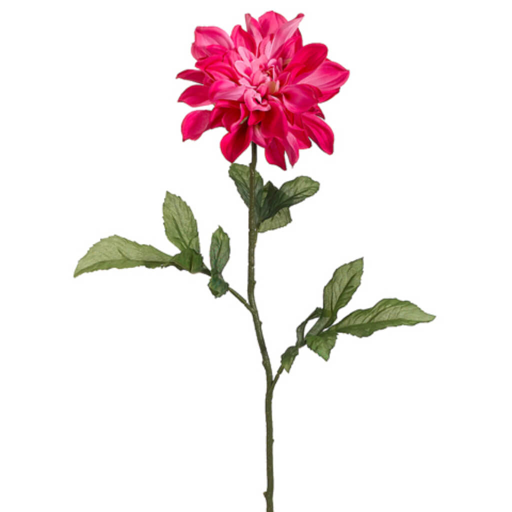 Dahlia Spray Two Tone Cerise, 29in