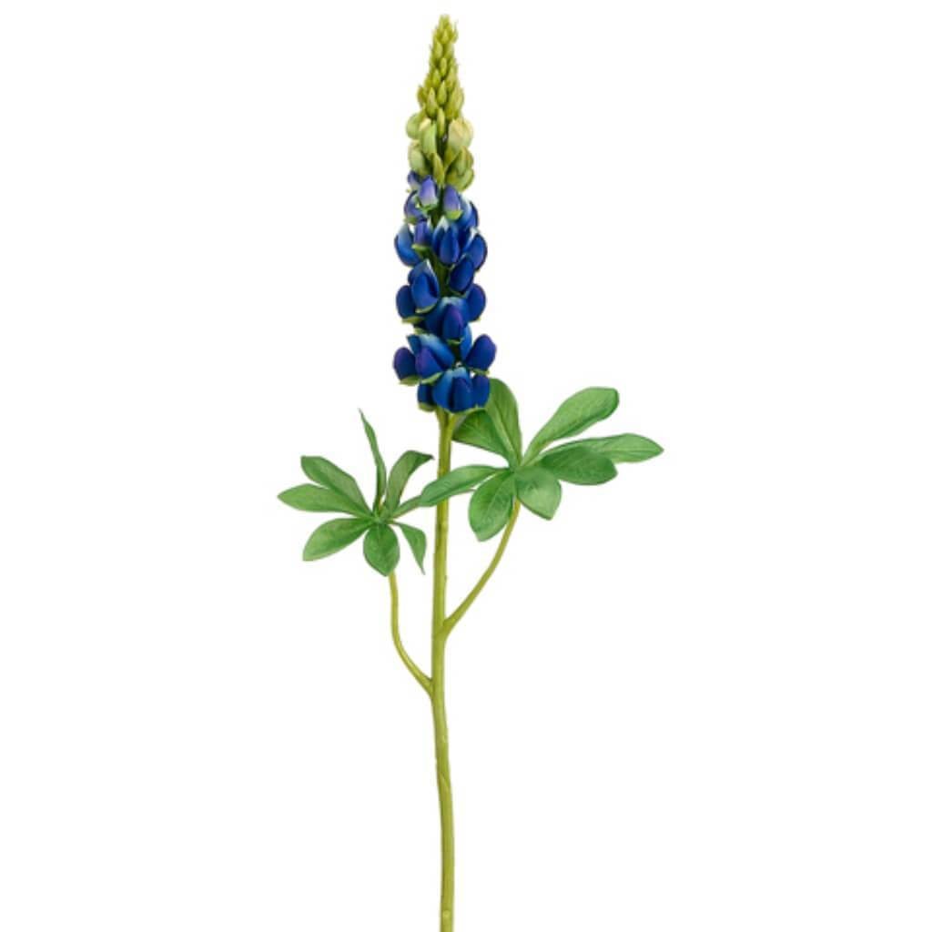 33"Lupinus Spray Bl/Gr 