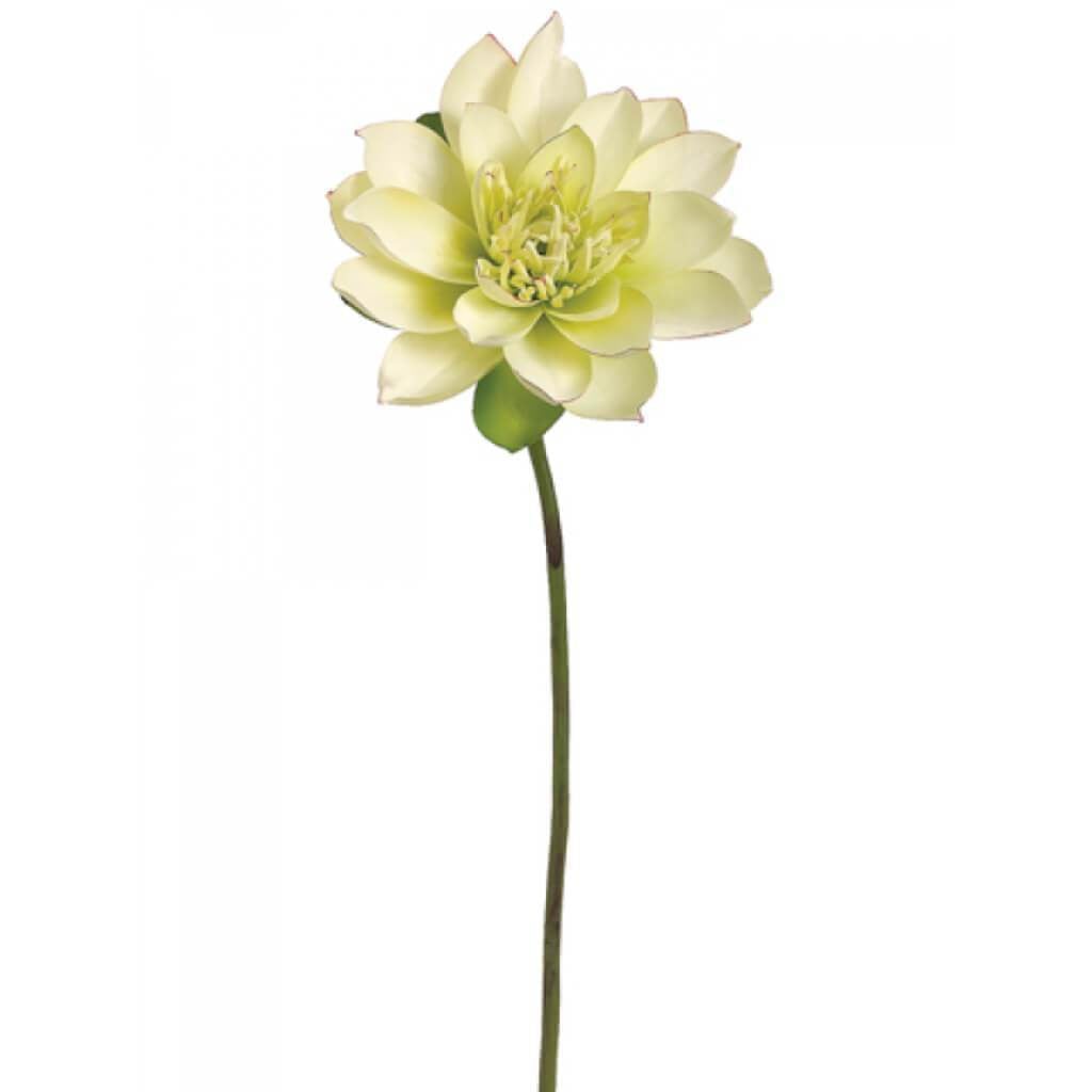 27"Lotus Bloom Spray Gr 