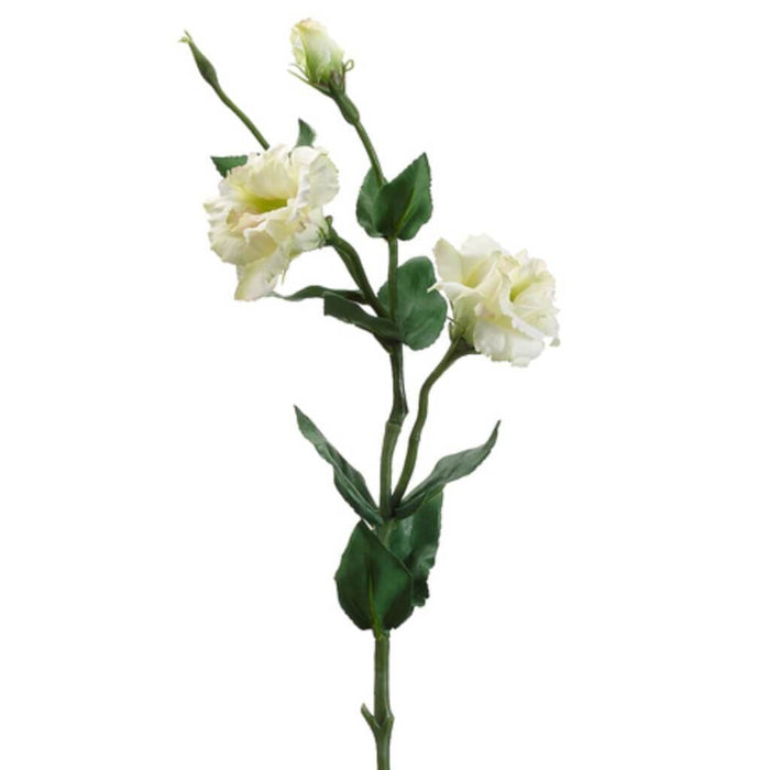 25"Lisianthus Spray Gr 