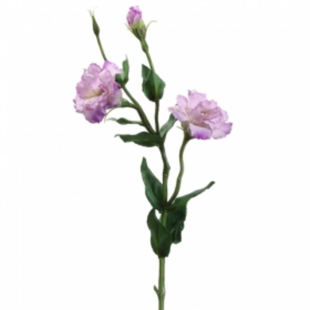 25"Lisianthus Spray Ll/Tt 