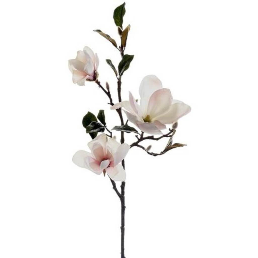 37"Magnolia Spray Pk 