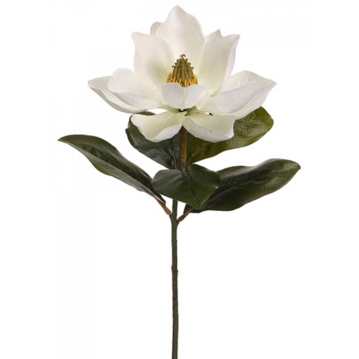 24"Magnolia Spray Cr 