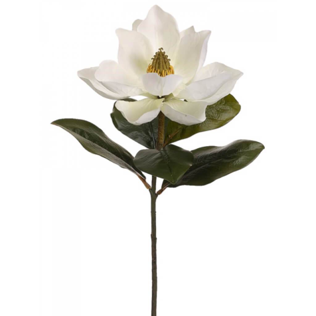 24"Magnolia Spray Cr 