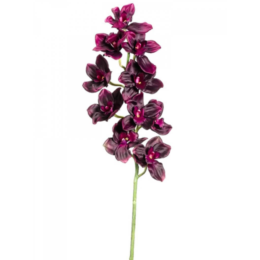 36"Cymbidium Spray Pl 