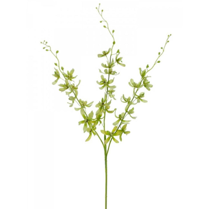 39"Dendrobium Spray X3 Gr/Cr 