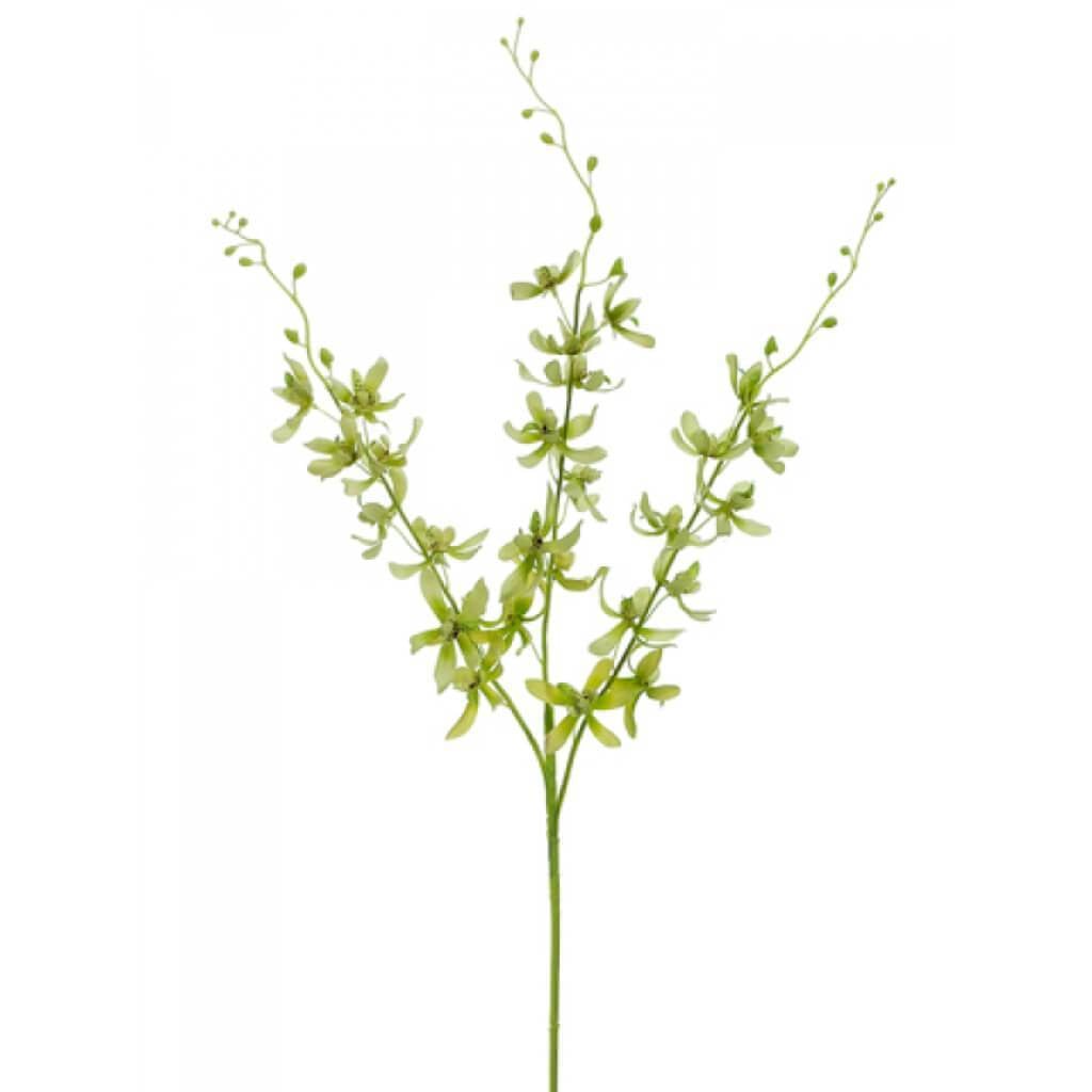 39"Dendrobium Spray X3 Gr/Cr 