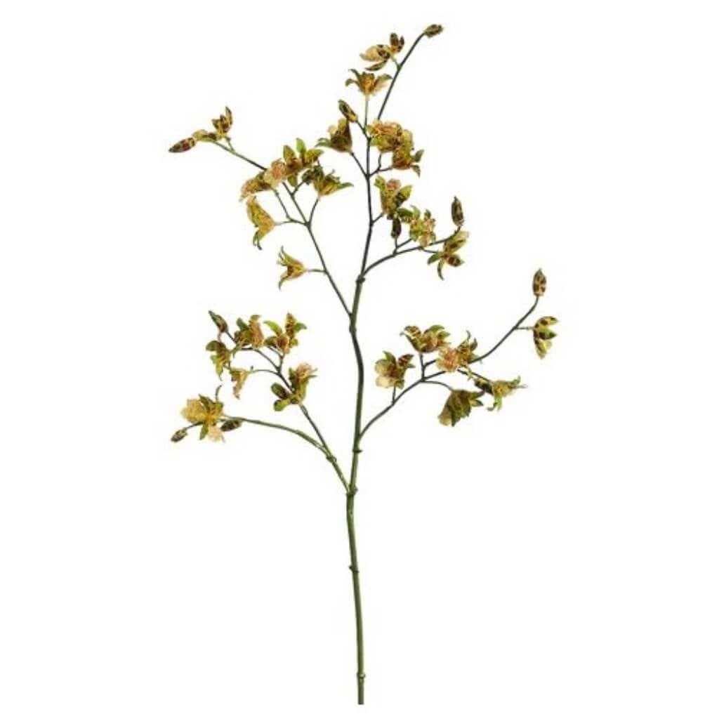 36&quot;Oncidium Spray Gr/Bu 