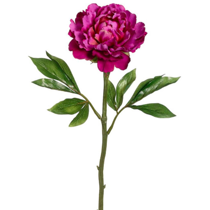 22"Lx5.5"D Peony Spray Bt/Tt 