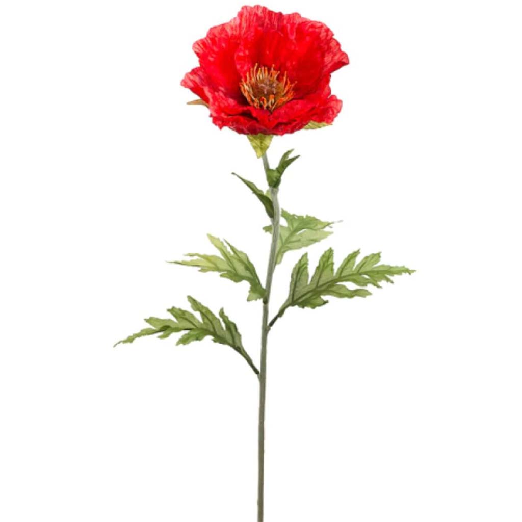 28&quot;Poppy Spray Re 