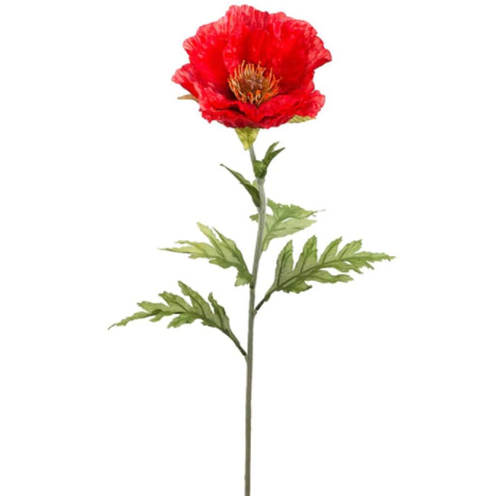 28"Poppy Spray Re 