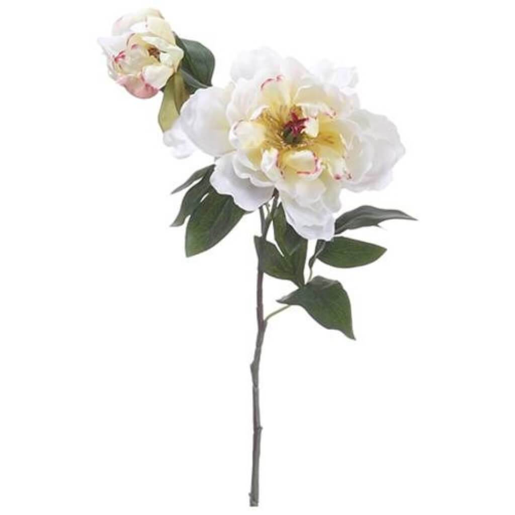 19.5"Peony Spray W/Bud Cr/Rb 