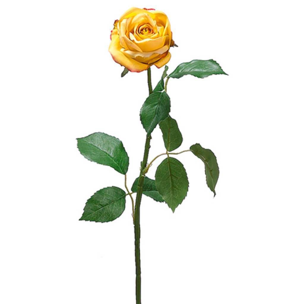 26"Cott.Rose Bud Spray Ye/Bt 