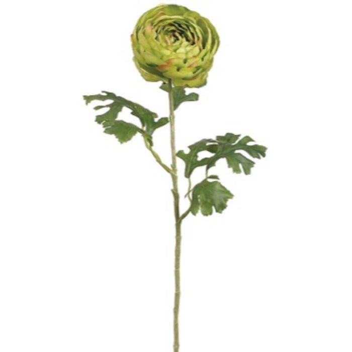 26.5"Dbl Ranunculus Spray Gr 