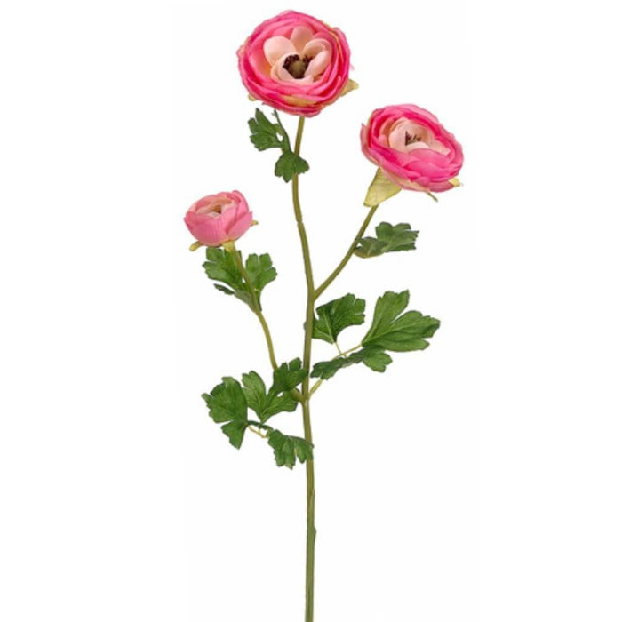 25"Ranunculus Spray Ce/Tt 