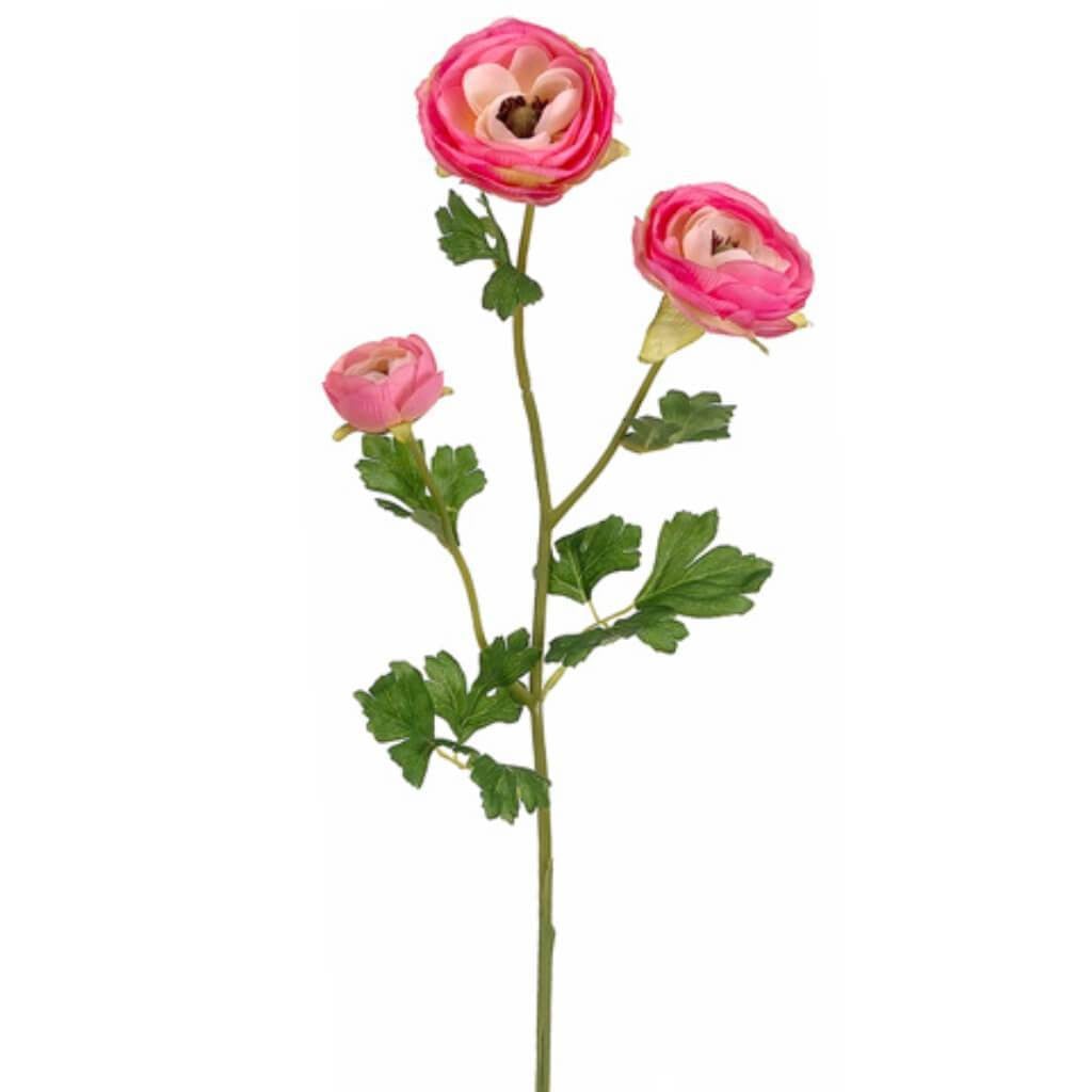 25"Ranunculus Spray Ce/Tt 