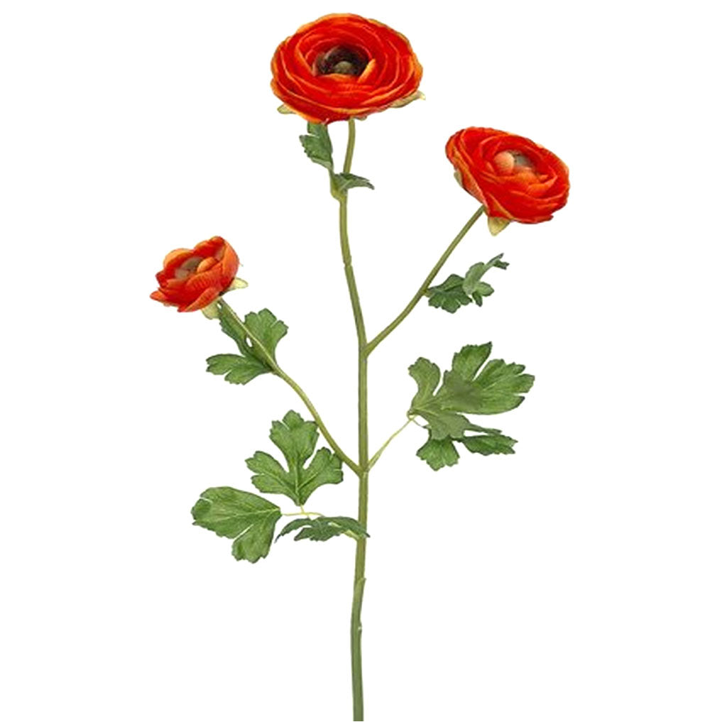 RANUNCULUS SPRAY ORANGE TWOTONE 25IN