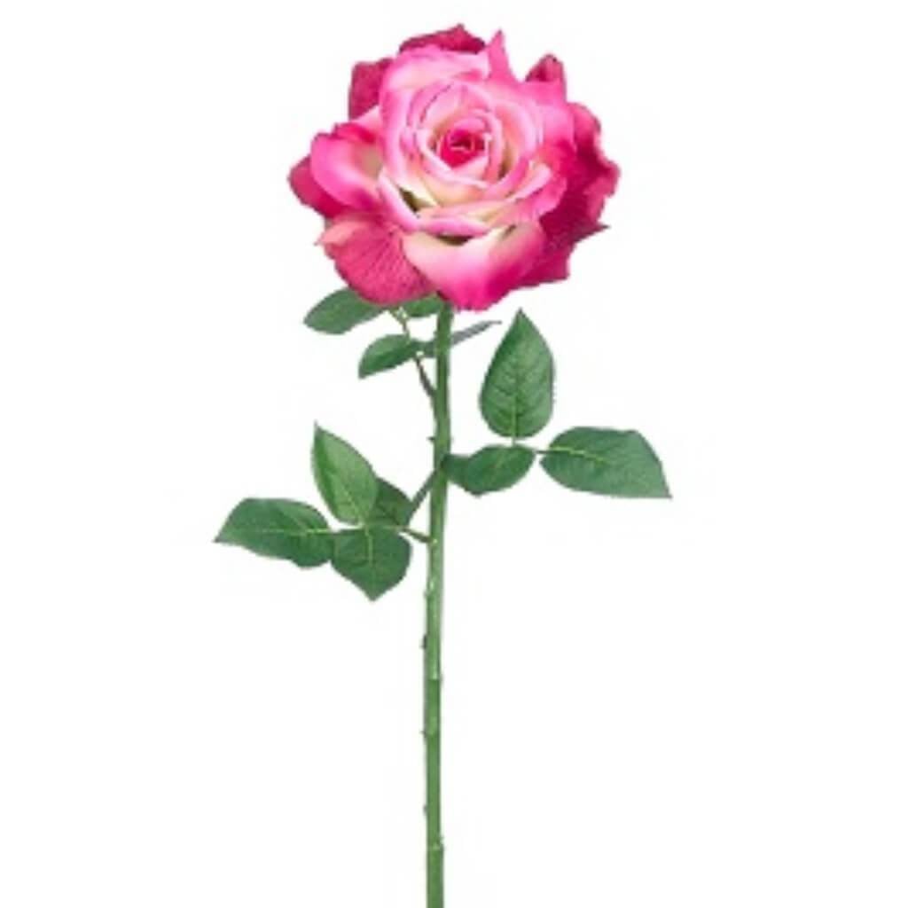 26"Diana Rose Spray Bt/Tt 