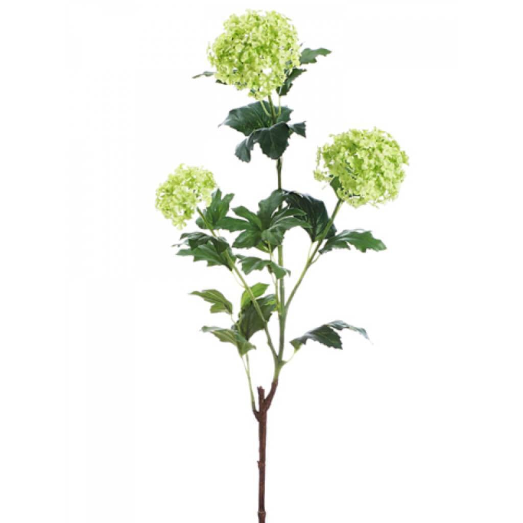 30"Snowball Spray Gr 