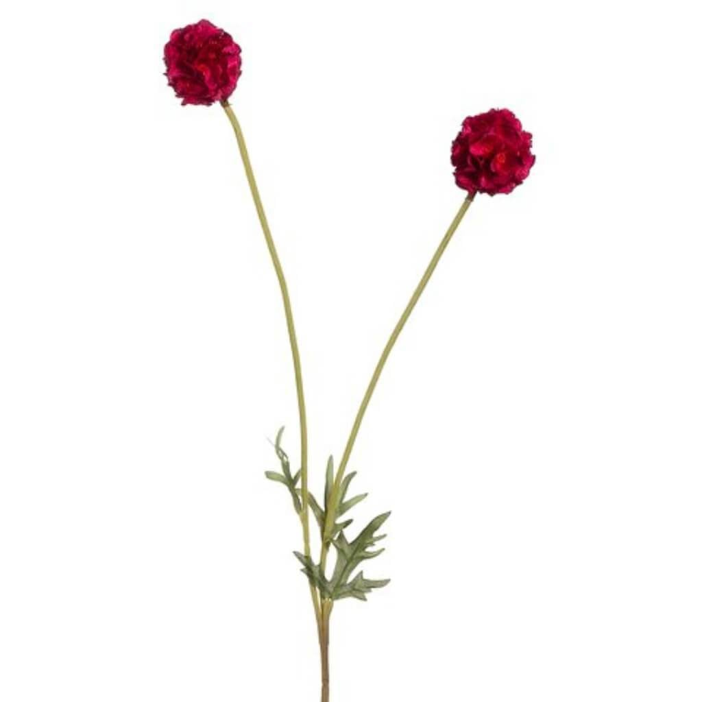 24"Scabiosa Bud Spray X2 Bt 