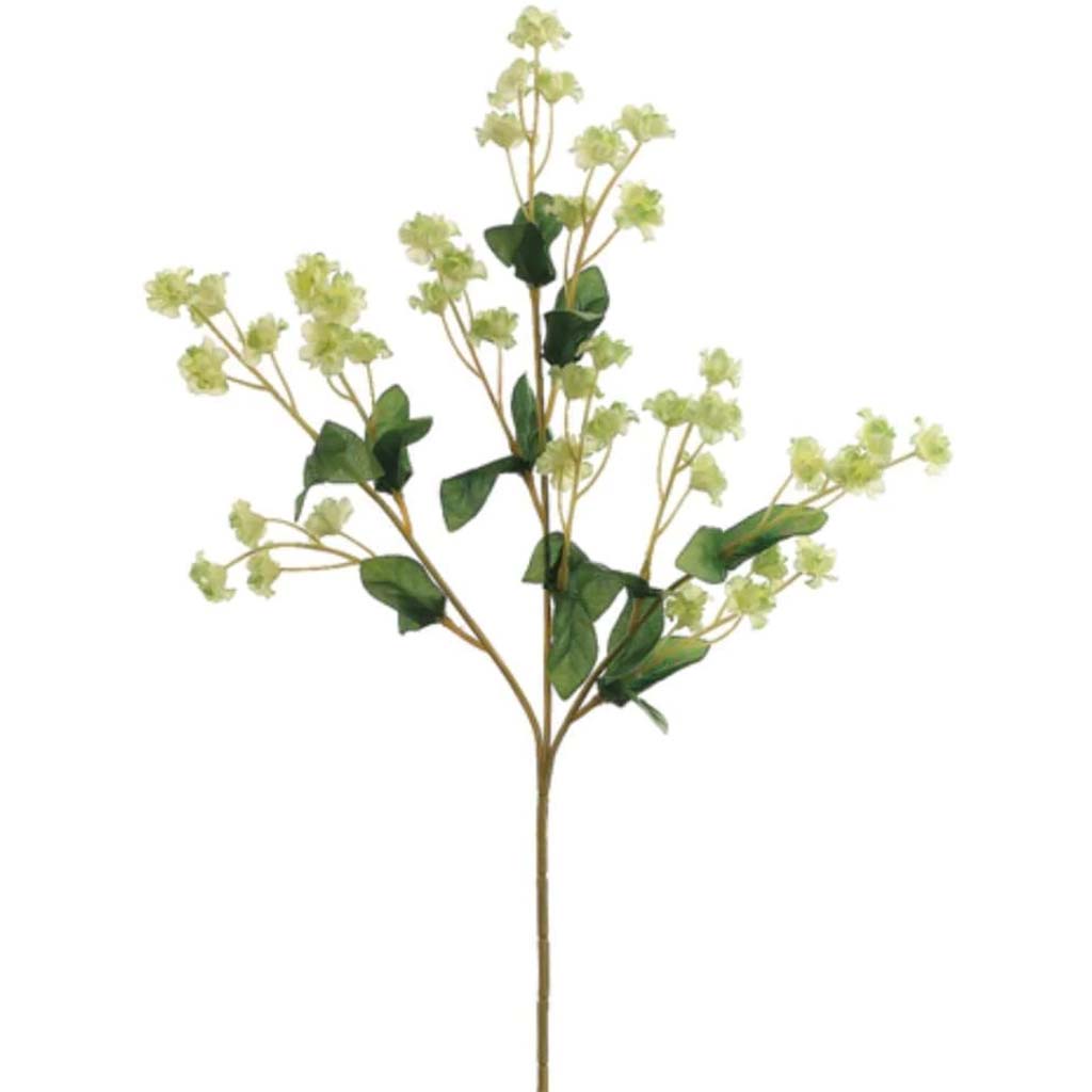 19"Dbl Baby'S Breath Sp. Cr/Gr 