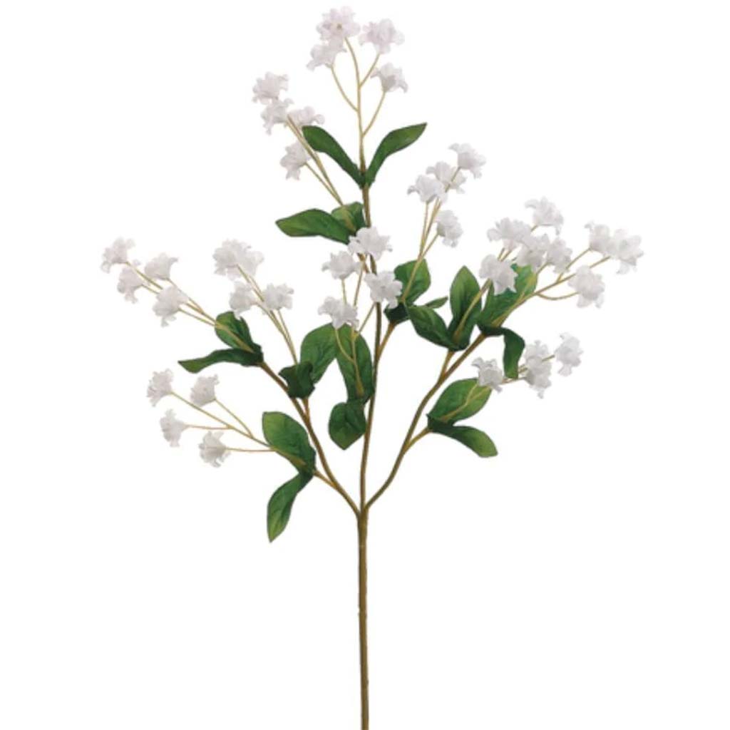 19"Dbl Baby'S Breath X40 Wh 