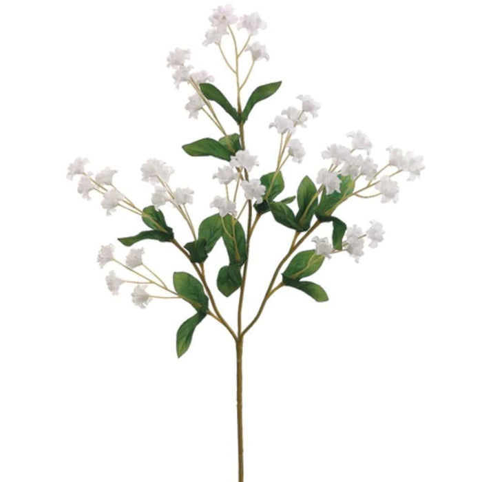19"Dbl Baby'S Breath X40 Wh 