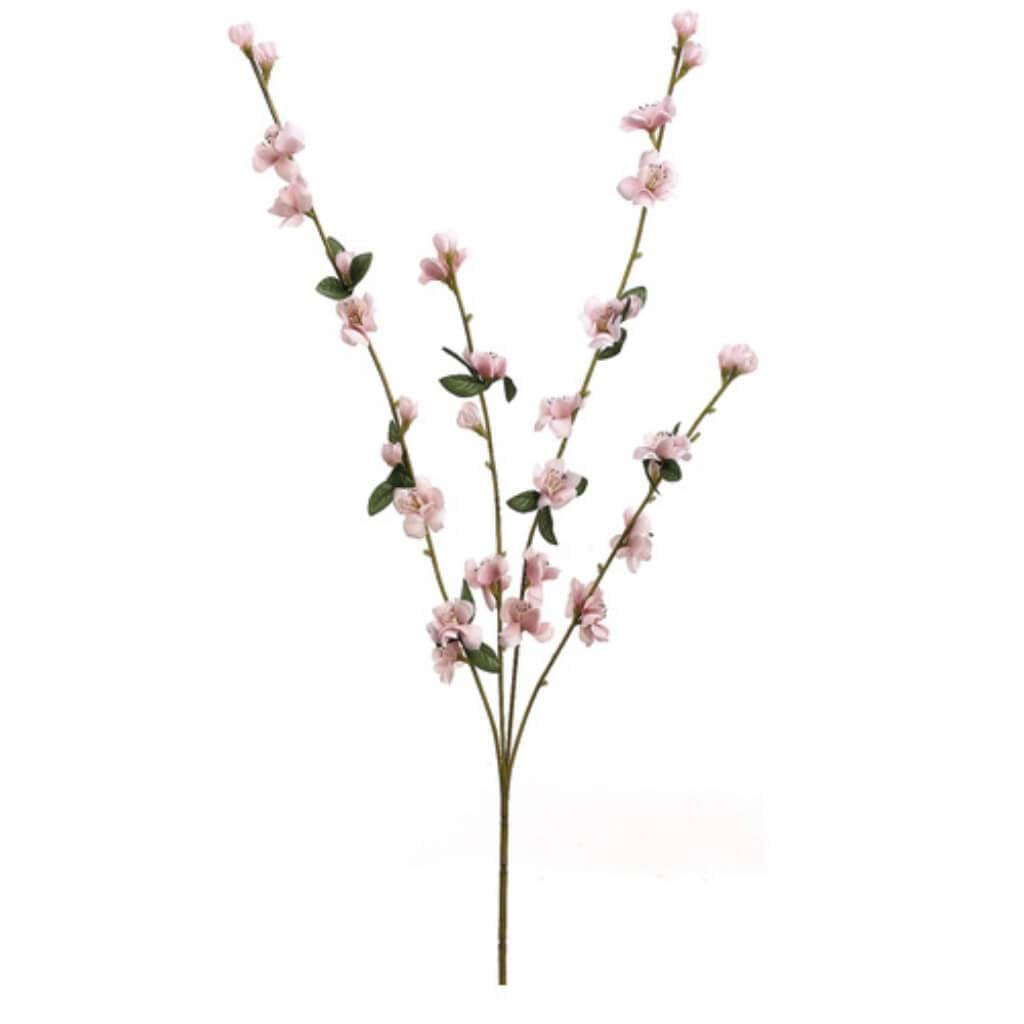 27"Plum Blossom Sp.X4 Pink 