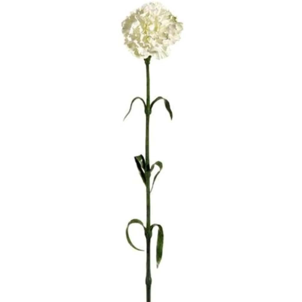 27&quot;Carnation Spray X1 Cr/Wh 