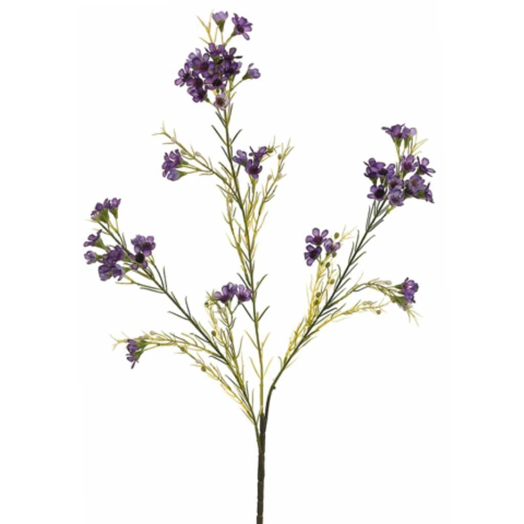 Waxflower Sp.X3 Pu 27in 