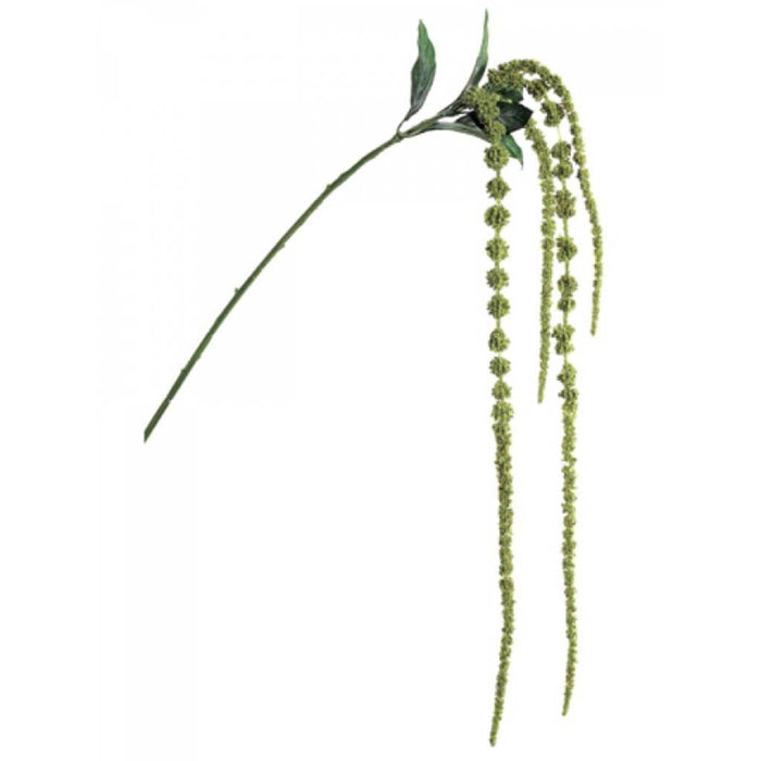 45"Amaranthus Spray X4 Gr 