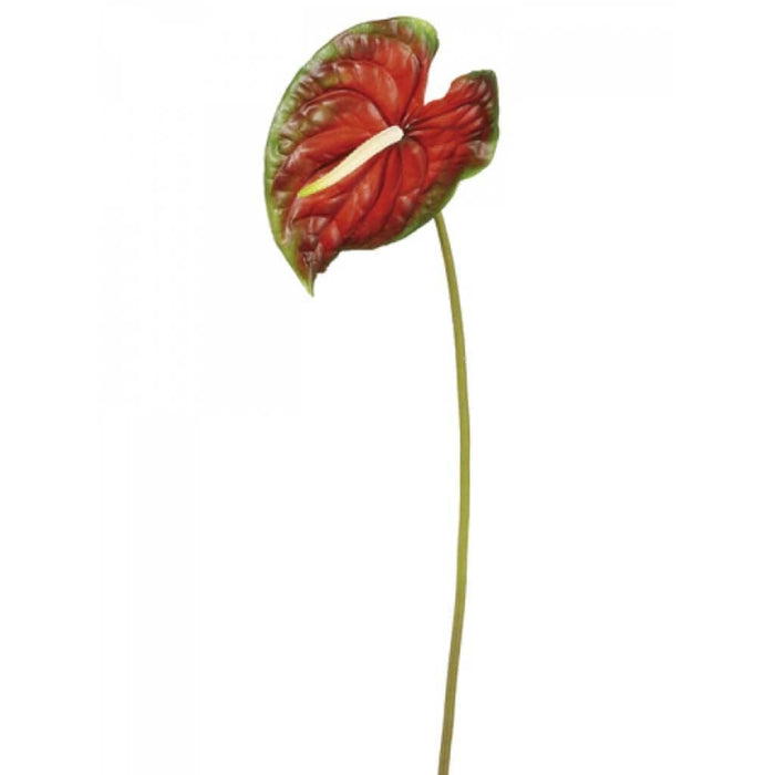26"Lg Anthurium Spray Re/Gr 
