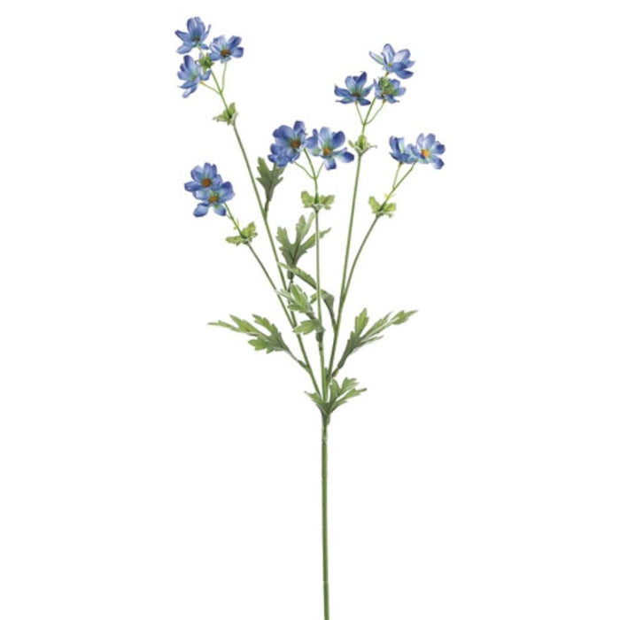 27.5"Baby Cosmos Sp.X5 Bl 