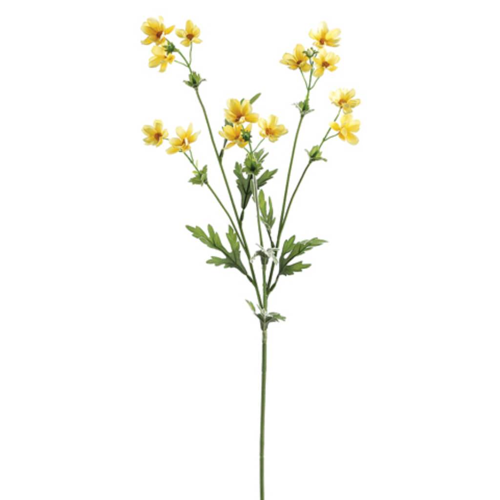 27.5&quot;Baby Cosmos Sp.X5 Ye 