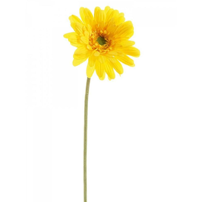 21.5"Md Gerbera Daisy Sp.Ye 