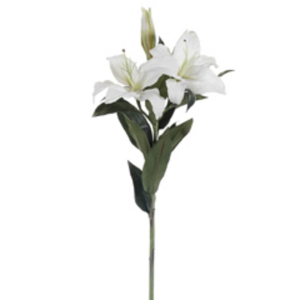 35"Rt Casablanca Lily Sp.Cr/Gr 