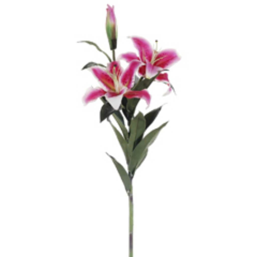 35"Rt Casablanca Lily Sp. Rb 