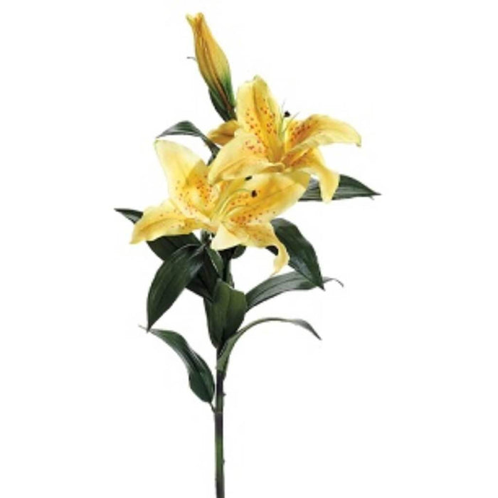 35"Rt Casablanca Lily Sp. Ye 