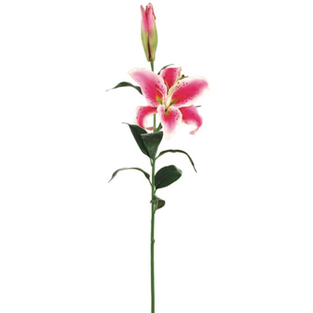 36"Rt Casab.Lily Spray Rb/Pk 