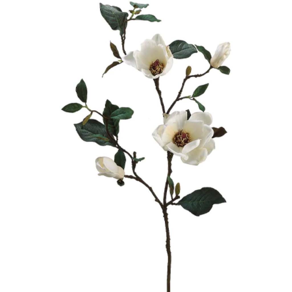 35"Magnolia Sp.X2 W/Bud Cr/Wh 