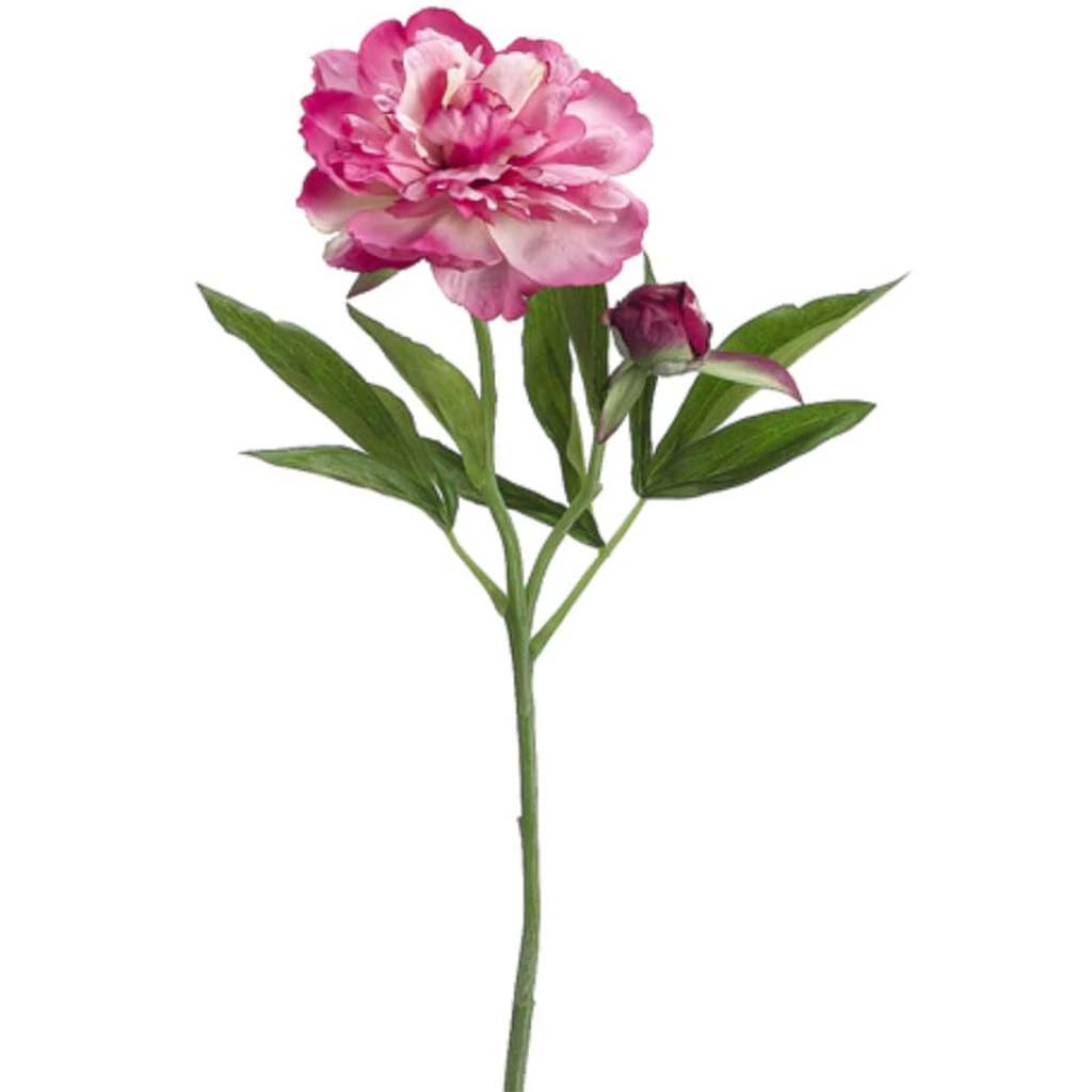 Peony Spray X2 Fu/Pk 19" 