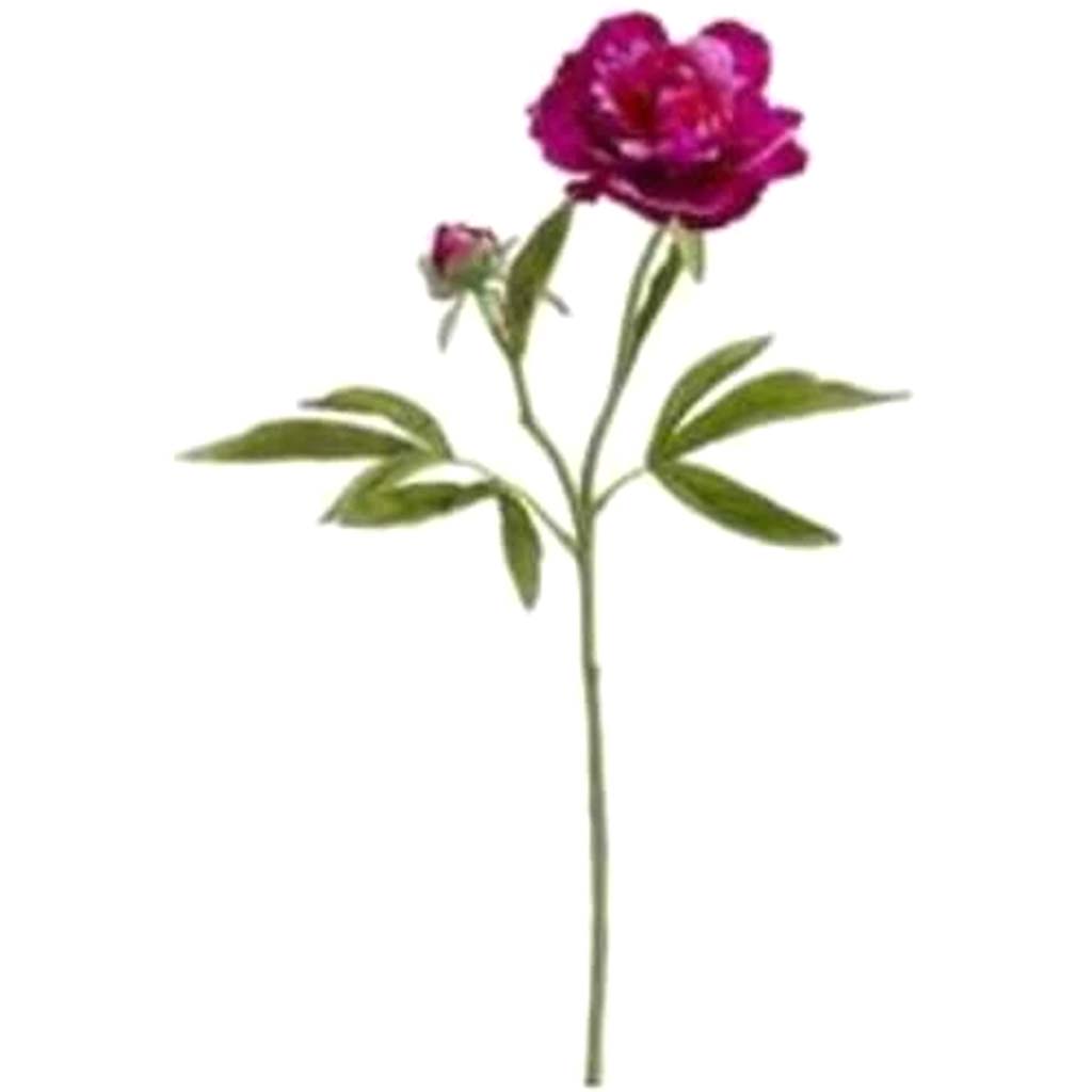 Peony Spray X2 Oc/Tt 19" 